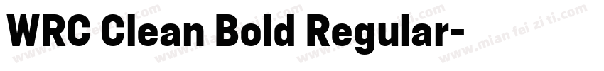 WRC Clean Bold Regular字体转换